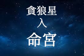 貪狼意思|紫微斗數【貪狼星入命宮】解析